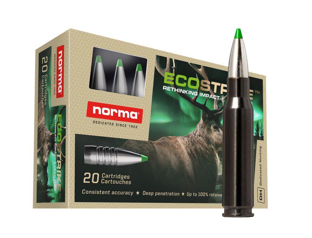 Norma Ecostrike Silencer 30-06 9,7g/150