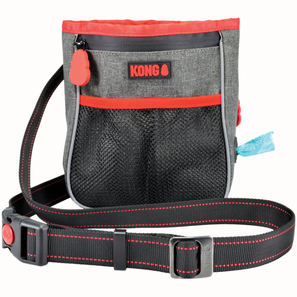 Kong Hiking Bag