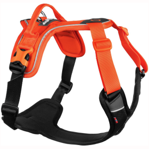 Non-stop Sele Ramble Harness