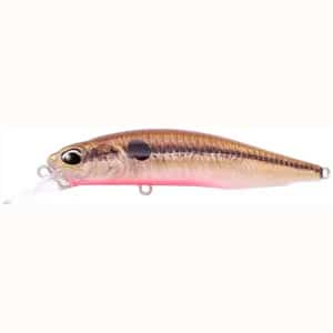 DUO Realis Rozante 77SP Solan