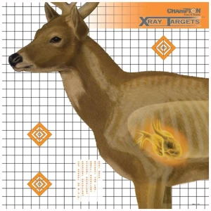 X-Ray Targets Hjort 6pk