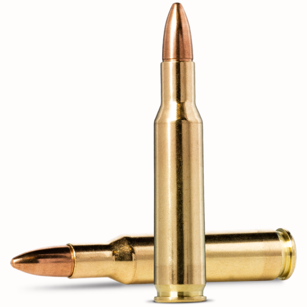 Image for article 7727