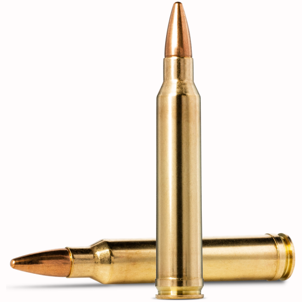 Image for article 7731