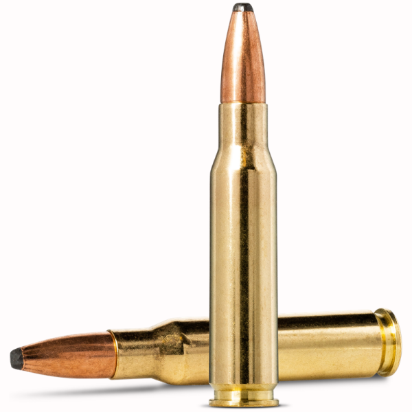 Image for article 7744