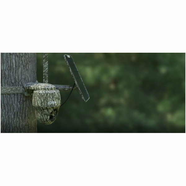 Image for article 8767