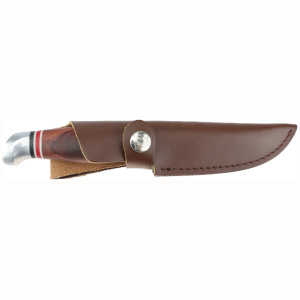 Image for article 13776