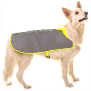 Refleksdekken Hund 100% Refleks