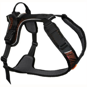 Non-stop Rock Harness