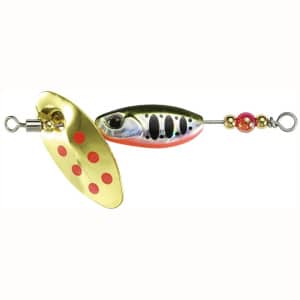 DUO Spearhead Ryuki Spinner 5.0g Yamame Red Belly PJA4068