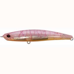 DUO Bayruf Seek 68HW Coral Shrimp CTA3560