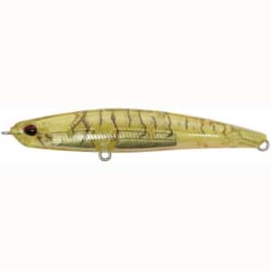 DUO Bayruf Seek 68HW Prawn OB CCC3559