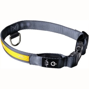 Blaser LED Hundehalsbånd Orange