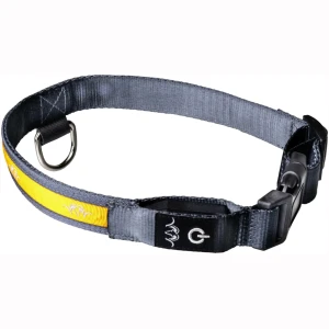 Blaser LED Hundehalsbånd Orange